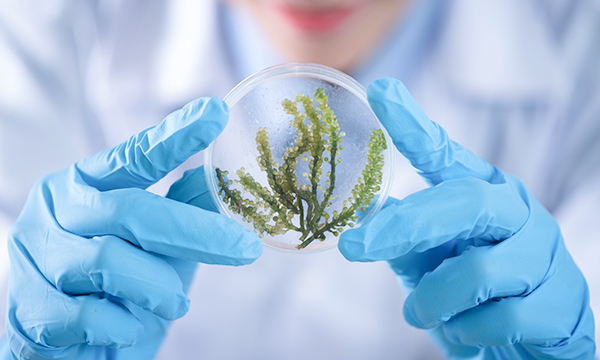 医药（医疗）净化工程