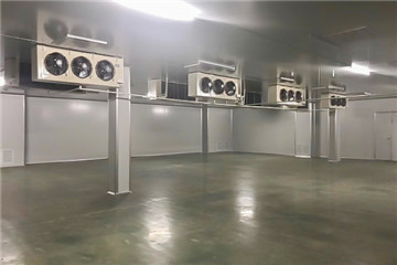 食用菌净化生产车间