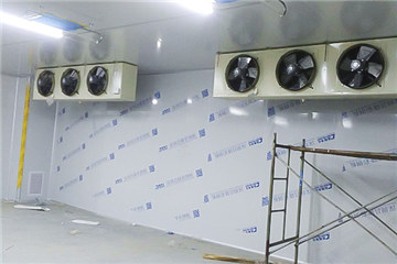 食用菌万级生产车间