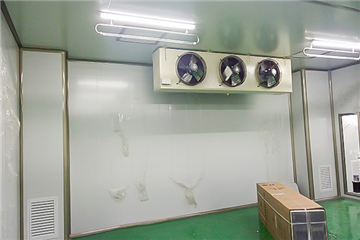 食用菌净化生产车间