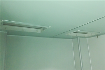 四川项目-菌种间