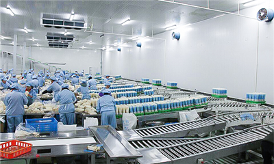 食用菌种植净化工程