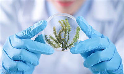 医药（医疗）净化工程